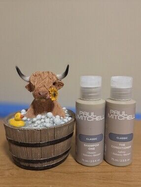 PAUL MITCHELL CLASSIC SHAMPOO & CONDITIONER SET